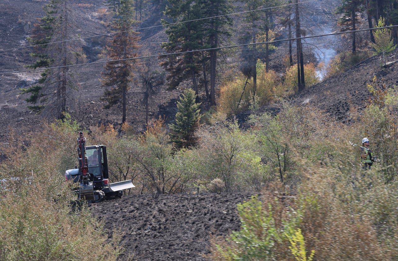 default-1591 Smoke rising from burned forest ground, with a machine visible in the foreground.